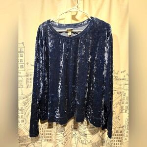 NWT Women's Ava & Viv Blue Velvety Long Sleeve Top Size 2X